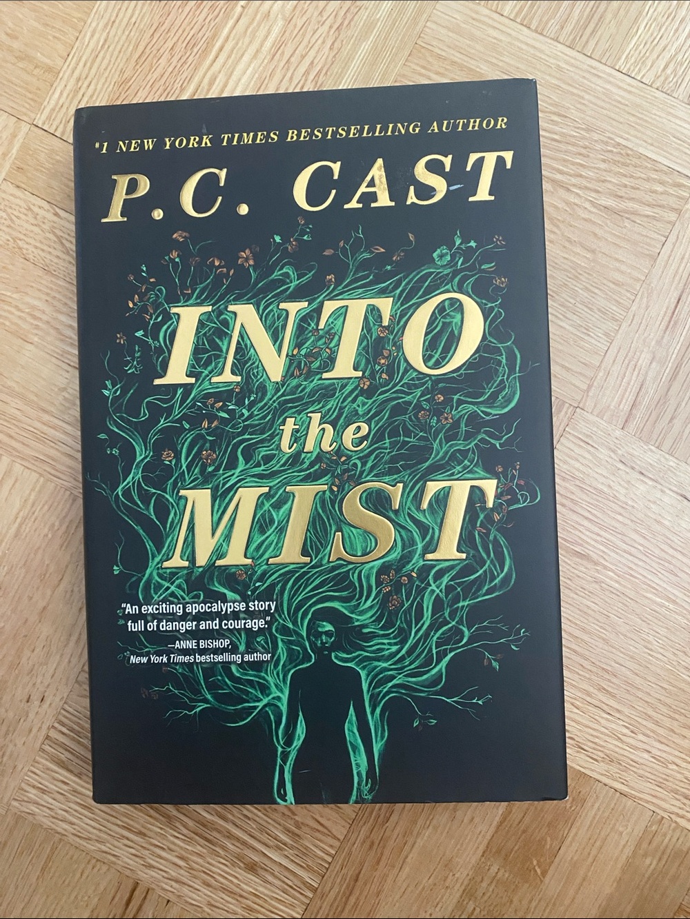 Into the Mist by P.C Cast Hardcover